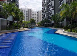 The Wisteria (D27), Apartment #198281552